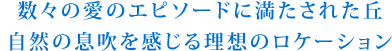 数々の愛のエピソードに満たされた丘 自然の息吹を感じる理想のロケーション